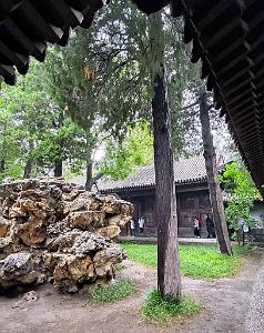 PEKIN - PARC BEIHAI (23)